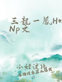 三龙一凤H啪肉Np文