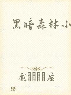 黑暗森林小说