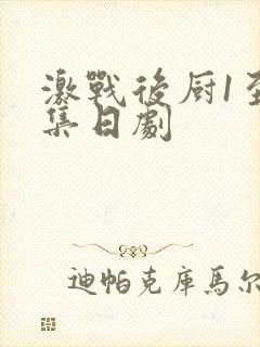 激战后厨1至5集日剧