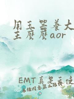 用玉器养大的公主么么aor