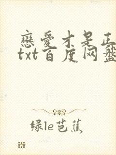 恋爱才是正经事txt百度网盘