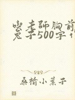 吃老师胸前的小兔子500字作文
