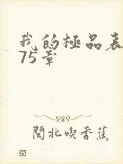 我的极品表嫂第75章