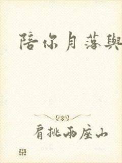 陪你月落与星沉