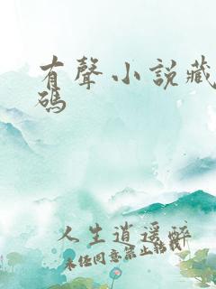 有声小说藏地密码