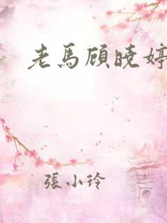 老马顾晓婷小说