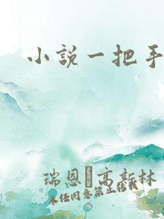 小说一把手
