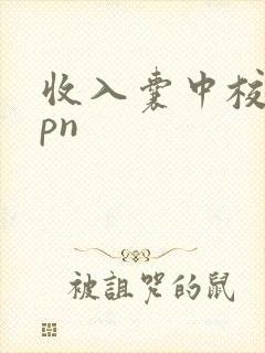 收入囊中校园hpn
