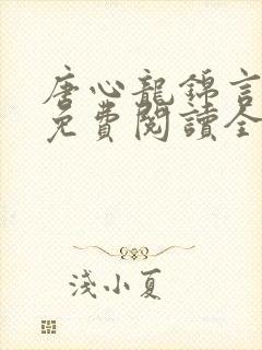 唐心龙锦言小说免费阅读全文