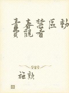 青春禁区动漫免费观看