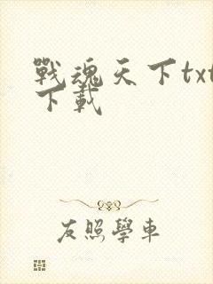 战魂天下txt下载