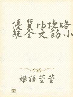 优质rb攻略系统全文的小说