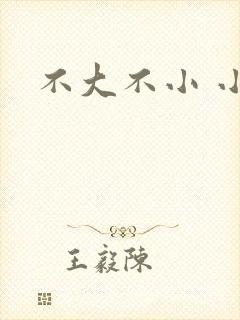 不大不小 小说