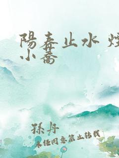 阳春止水 烟树小荞