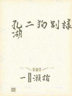 孔二狗别样的江湖