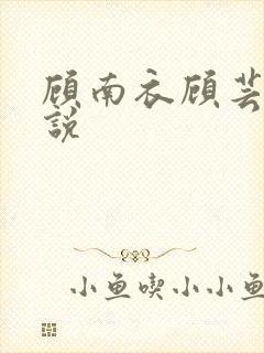 顾南衣顾芸沐小说