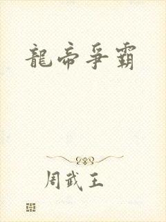 龙帝争霸