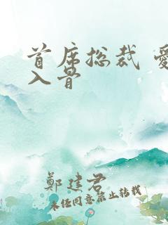 首席总裁 爱你入骨