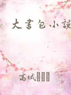 大书包小说