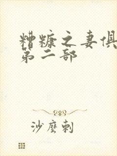 糟糠之妻俱乐部第二部