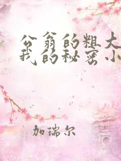 公翁的粗大放进我的秘密小说