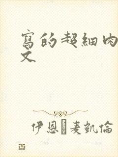 写的超细肉汁水文