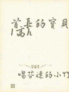 首长的宝贝1v1高h