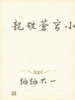 龙破苍穹小说