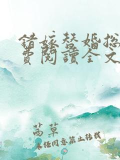 错嫁替婚总裁免费阅读全文