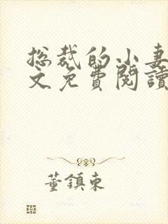 总裁的小妻子全文免费阅读