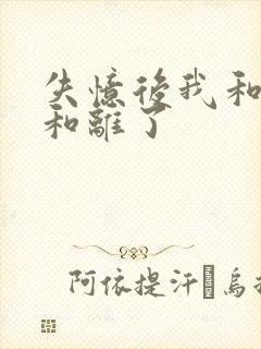 失忆后我和王爷和离了