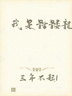 我是骷髅龙骑兵