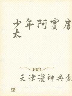 少年阿宾房东太太