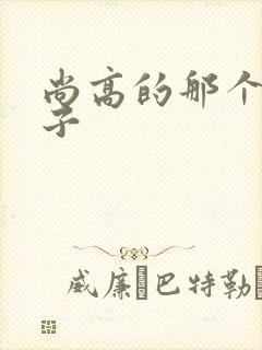 尚高的那个臭小子