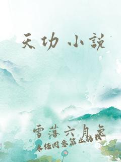 天功 小说