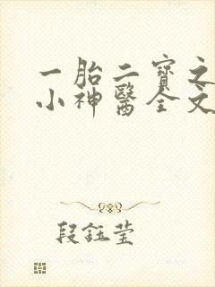 一胎二宝之弃妃小神医全文免费阅读