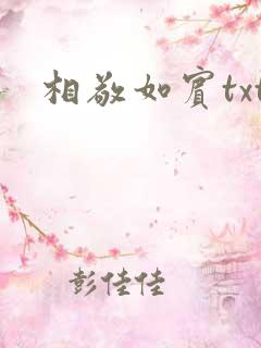 相敬如宾txt
