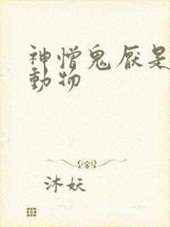 神憎鬼厌是什么动物