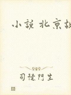 小说 北京故事