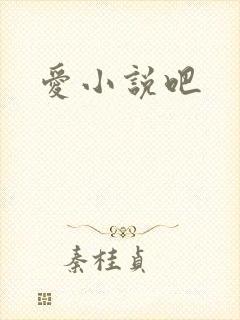 爱小说吧