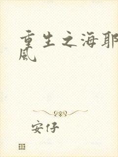 重生之海耶斯旋风