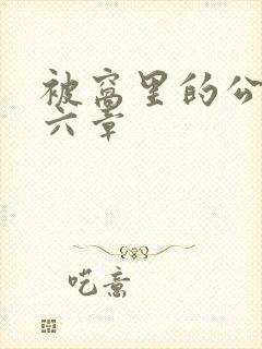 被窝里的公息第六章