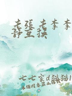 老张老李李娴张静互换