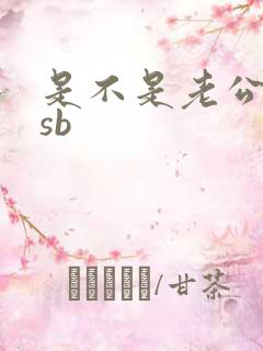 是不是老公的小sb