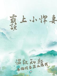 霸上小悍妻 小说