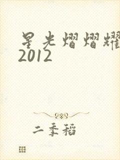 星光熠熠耀保良2012