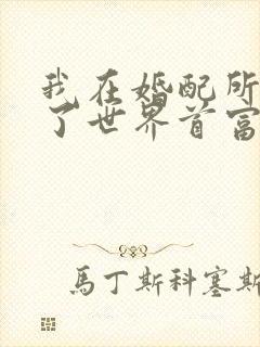 我在婚配所摇到了世界首富小说