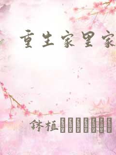 重生家里家外