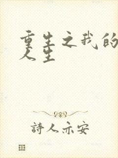 重生之我的抄袭人生