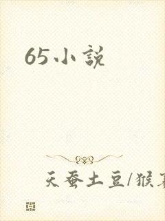 65小说